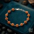 Shiva Silver Chain Rudraksha Rakhi